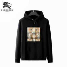 Picture of Burberry Hoodies _SKUBurberryS-XXLR0610258